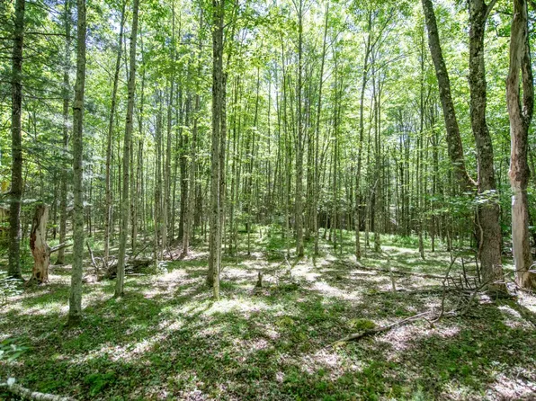 0 McCulley Hts #15, Davenport, NY 13750