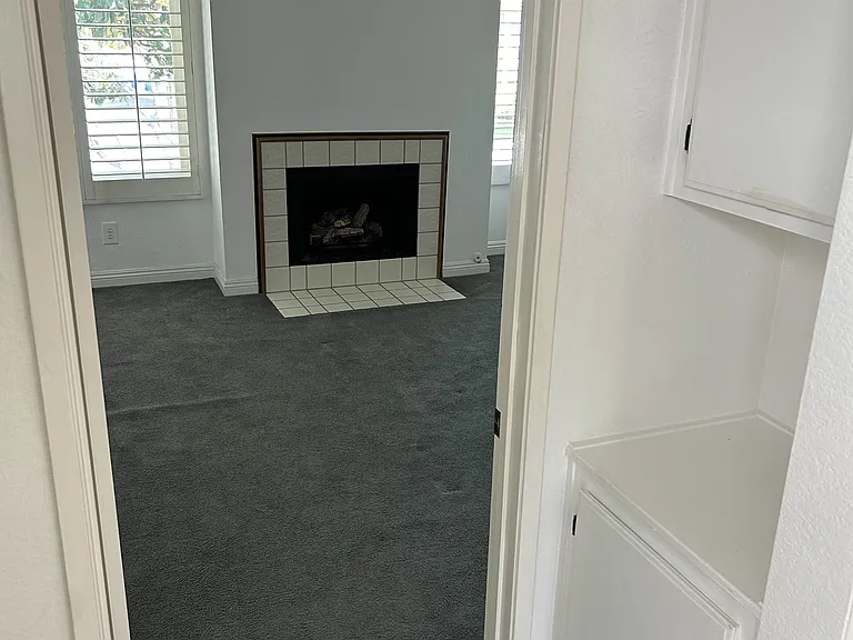 866 Hollyhock Ct — Photo 12