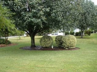 20 Mongin Way, Bluffton, SC 29909