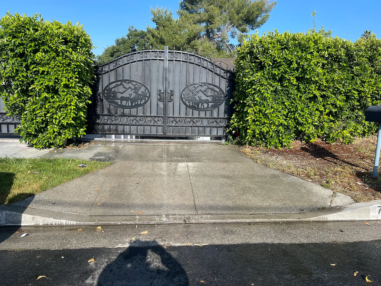 3 bed, 1500 sqft, $4,700 — Photo 1