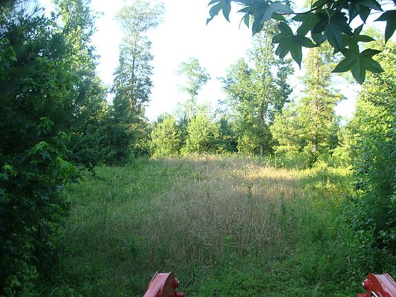 Greenfield
						:
						Picture of one green field area. Trails are driveable and kept cut.