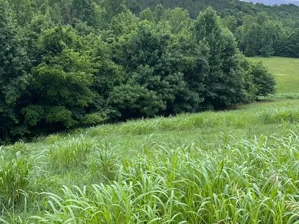 Mill Dr, Decatur, TN 37322