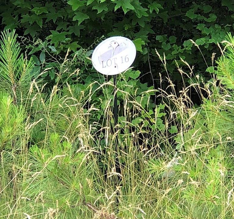 2nd image of Lot 16 Eagle Pointe