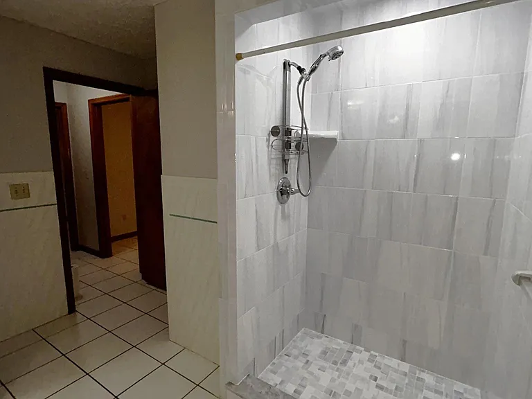Main bathroom shower