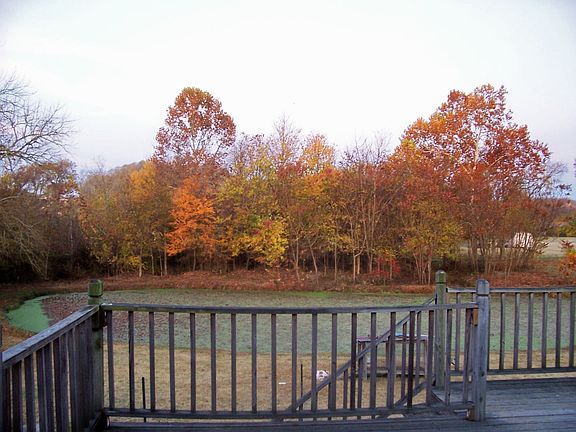 Pond View from Deck