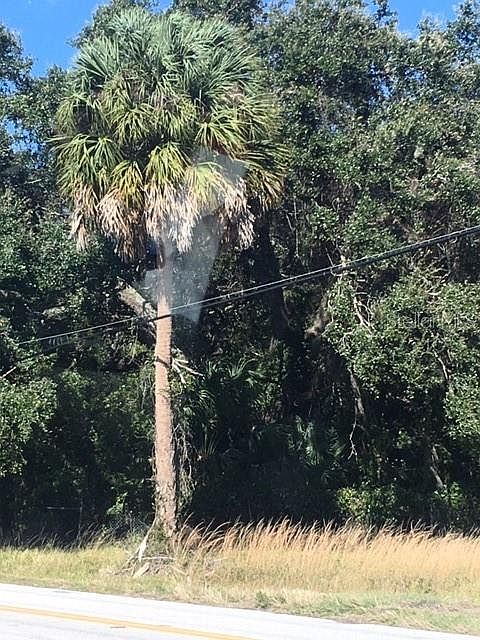 1st image of Countryway Blvd