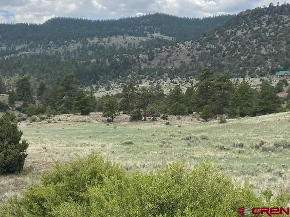 92 Red Tail Court, South Fork, CO 81154