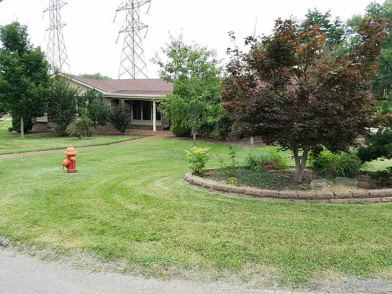 Front yard