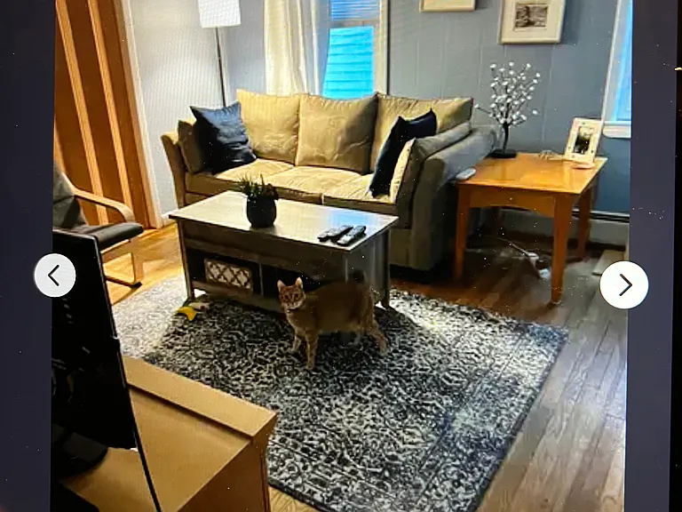 9 Watson St #2 — Photo 20
