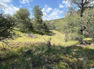 Black Dog Rd, Arenas Valley, NM 88022