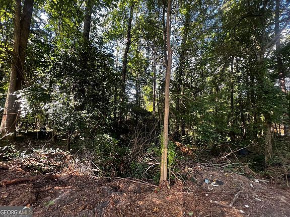 4th image of 4074 Panola Rd