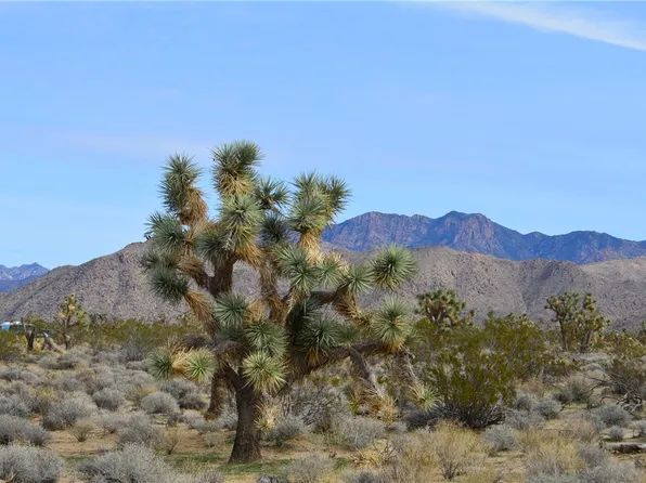 11872 S Date Creek Rd, Yucca, AZ 86438