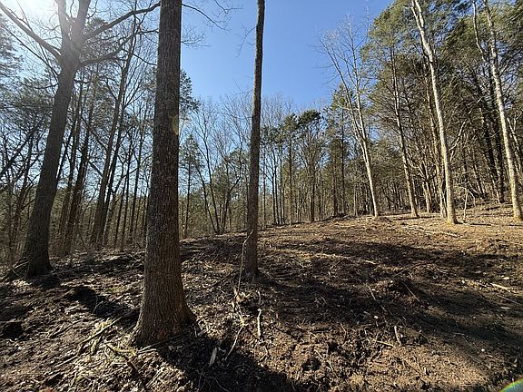 4th image of 0 McClanahan Rd