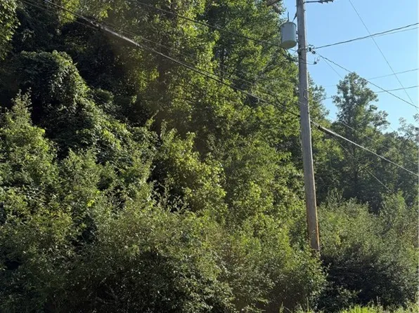 1356 Clio Rd, Clendenin, WV 25045