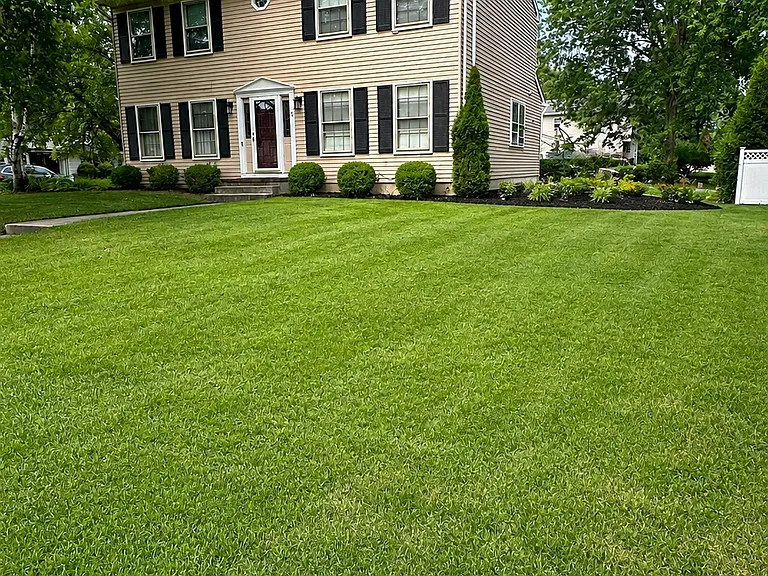 5 Dennison Pl — Photo 4