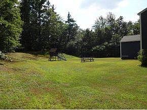 Back  yard