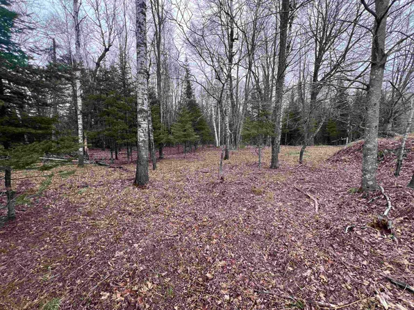 Nejedlo Rd #6, Wausaukee, WI 54177