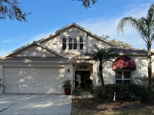 10317 Tarragon Dr, Riverview, FL 33569