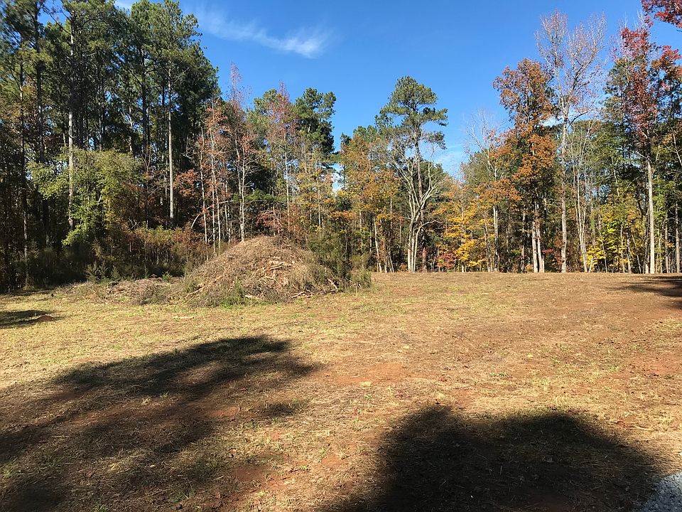 Cleared area of the land 