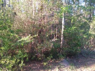 127 Cliffords Way, Ridgeville, SC 29472