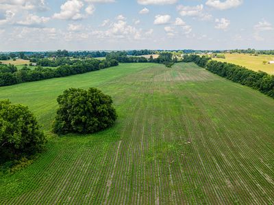 1341 Nevins Station Rd, Lawrenceburg, KY, 40342