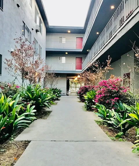Sawtelle — Photo 72