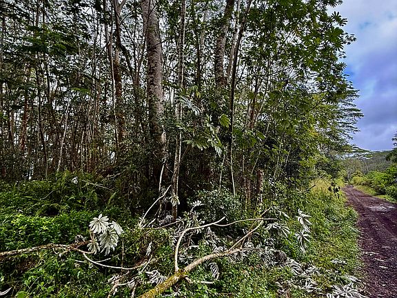 5th image of Puua Kapoho Rd Lot 12