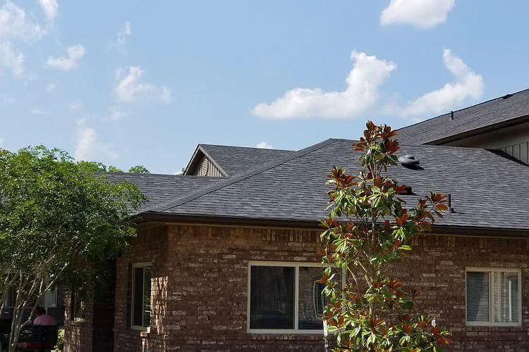 Cypress Springs — Photo 22