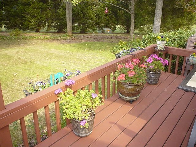 deck