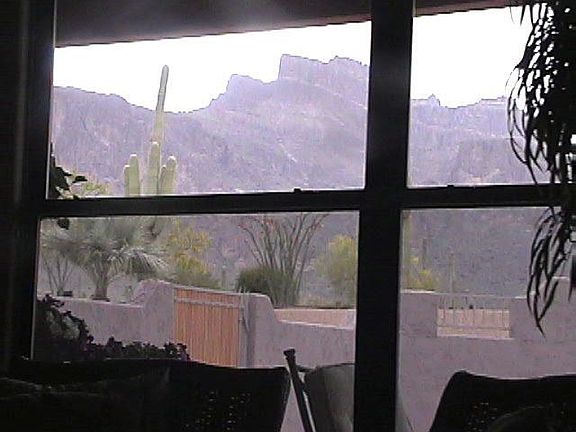 view from family room