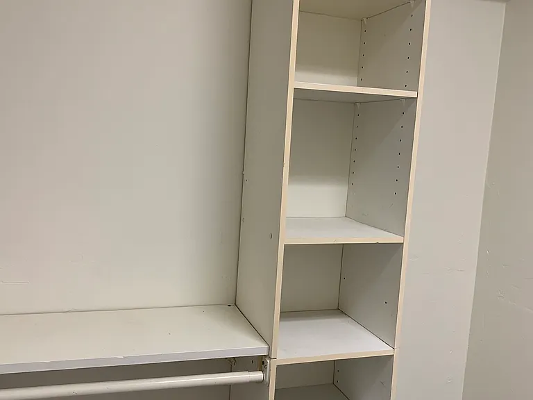 down Master BR walk-in closet