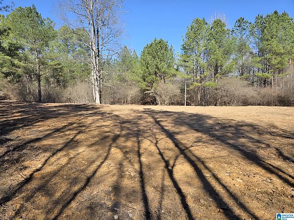 5th image of 1615 Blanton Rd #0