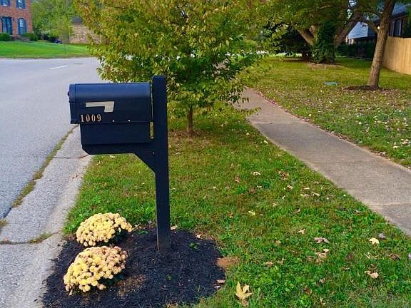 New mail box