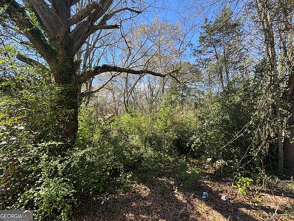 4th image of 219 Banks St