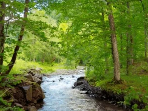 Troudale Hwy, Troutdale, VA 24378