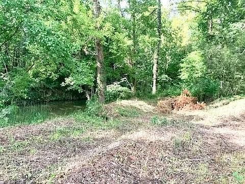 4th image of 1001 County Road 4110