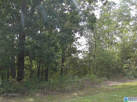 3rd image of 556 County Road 308