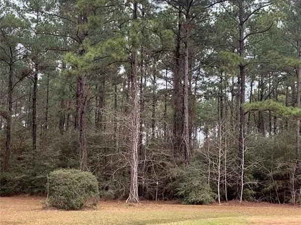 21206 Peach Wood Ct, Cleveland, TX 77328