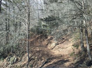 LOT1 Dewitt Barnett Rd, Vilas, NC 28691