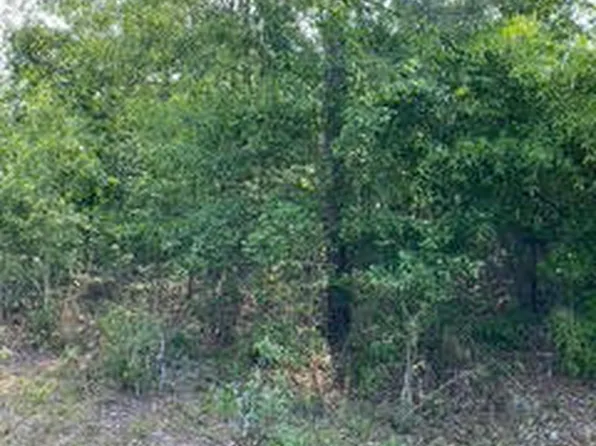 082B212 ANN'S WAY Way, Waynesboro, GA 30830