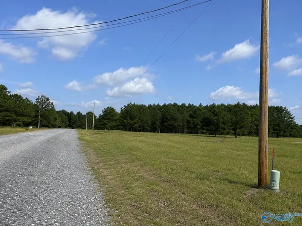 LOT 1 Rachel Ln, Centre, AL 35960
