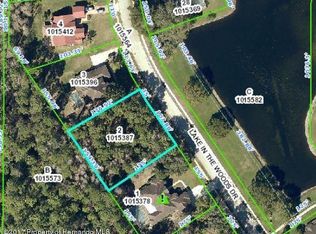 4453 Lake In The Woods Dr, Spring Hill, FL 34607