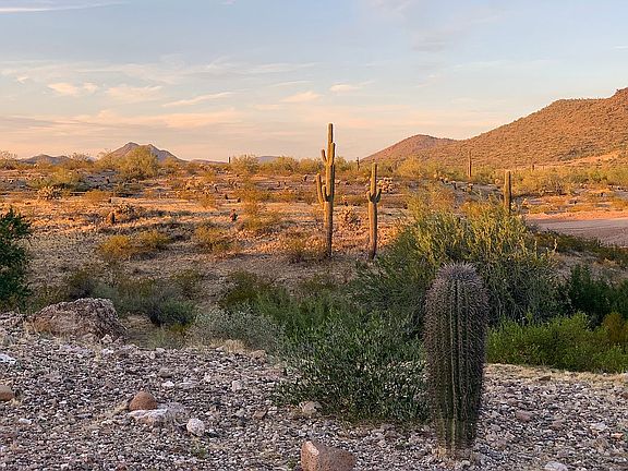 2nd image of 11754 W Creosote Dr