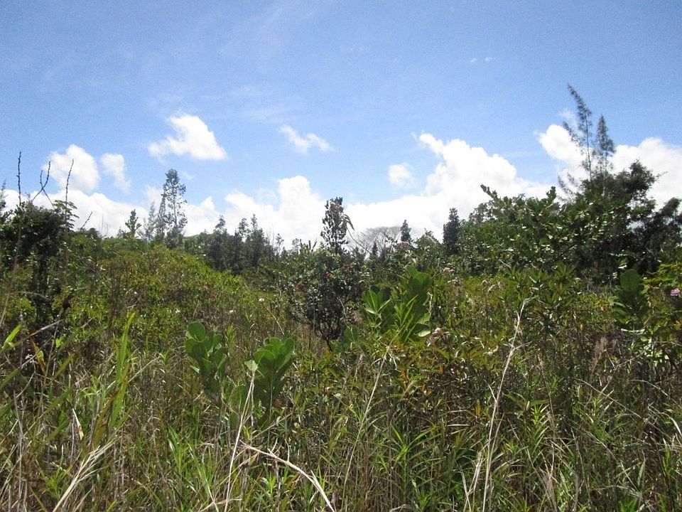 2nd image of 1st Avenue Akala Lot 2920