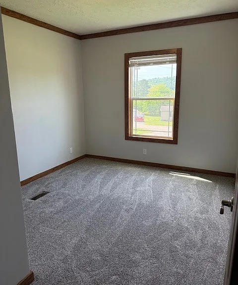 415 Thomas Ln — Photo 16