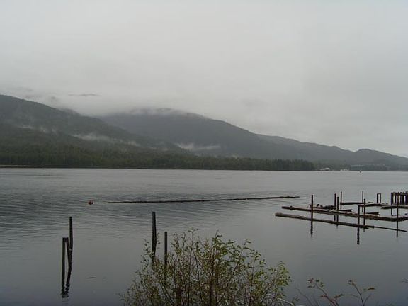 4th image of 4837 N Tongass Hwy