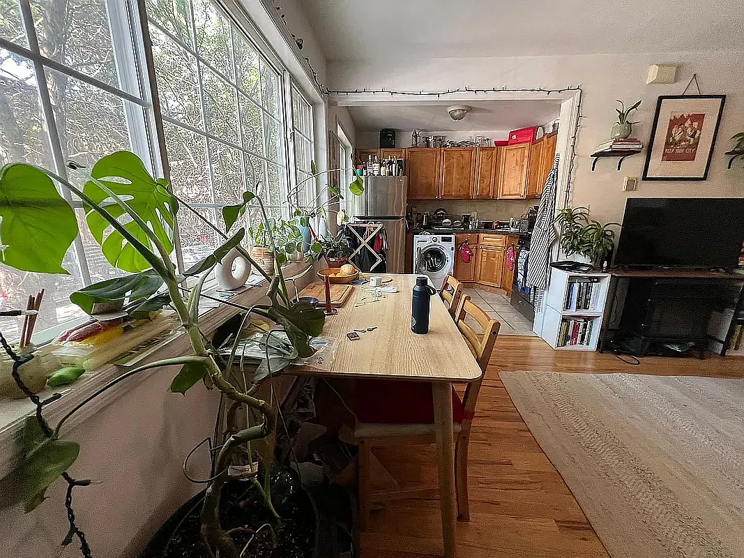 12 Macon Street — Photo 2