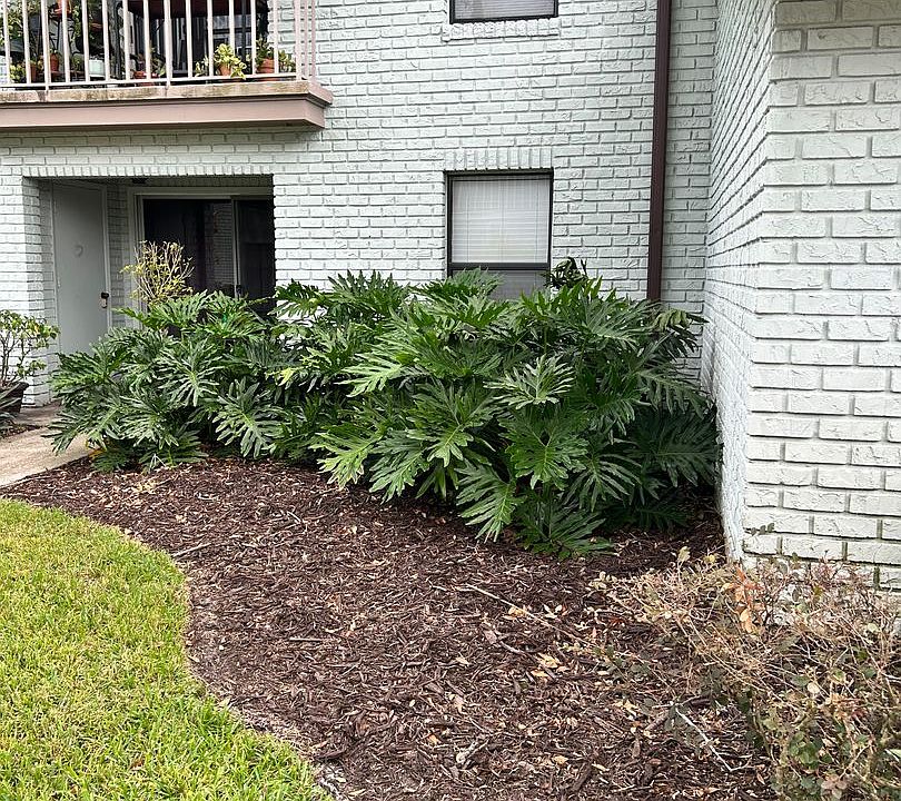 1st image of 3088 Plaza Terrace Dr