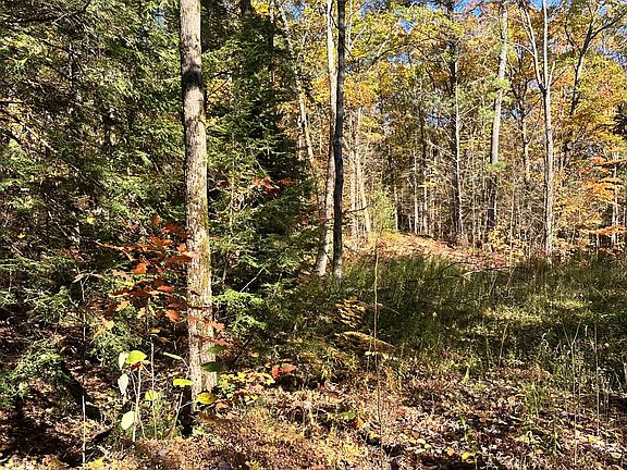 4th image of 1101 Doe Lake Rd