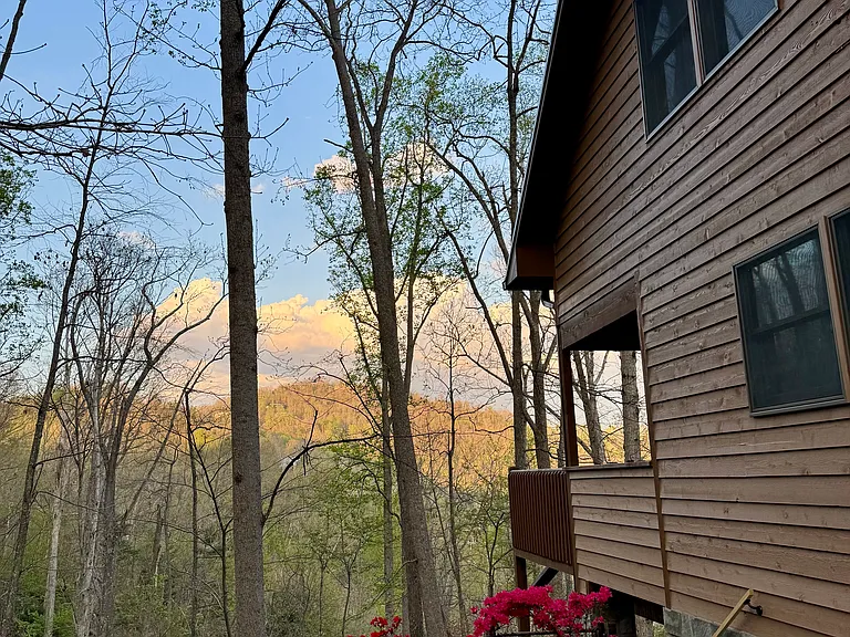 727 Town Mountain Rd — Photo 32
